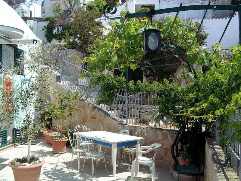 Blu Marine Casa A 10Mt Dalla Spiaggia 佩斯基奇 外观 照片