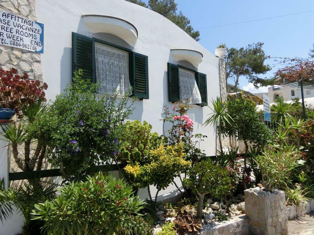 Blu Marine Casa A 10Mt Dalla Spiaggia 佩斯基奇 外观 照片