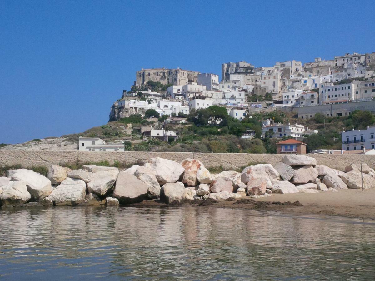 Blu Marine Casa A 10Mt Dalla Spiaggia 佩斯基奇 外观 照片