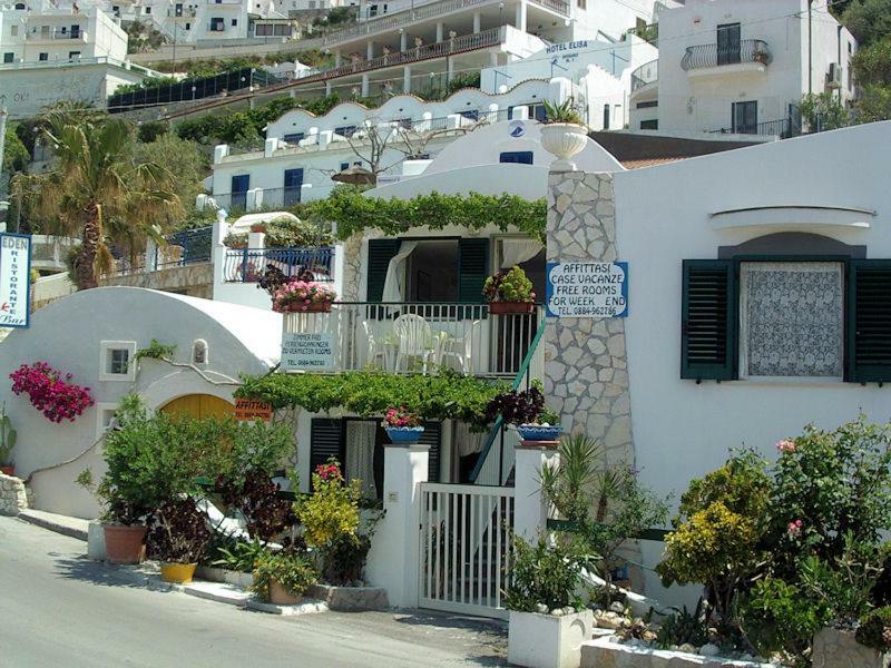 Blu Marine Casa A 10Mt Dalla Spiaggia 佩斯基奇 外观 照片